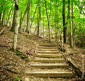 path, determination, persistence, repetition
